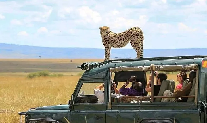 2 days Tarangire and Ngorongoro Group safari
