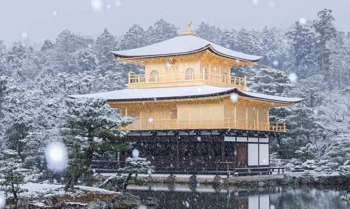 Day Private Tour of Kyoto City with English speaking driver