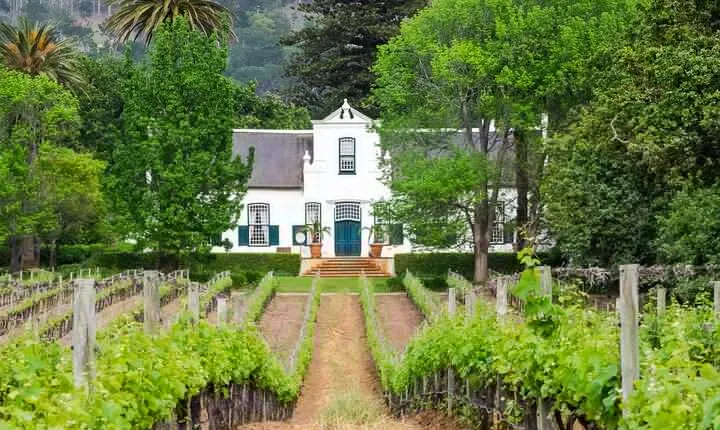 Cape Winelands Tour–3 Wine Tastings in Stellenbosch & Franschhoek