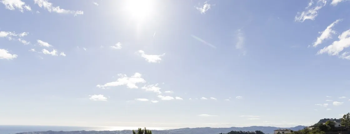 Half-day winery tour with wine tasting and tapas