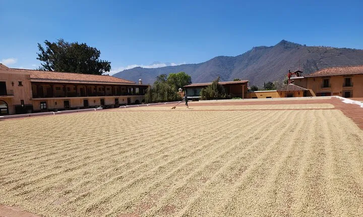 ATV or UTV Coffee Tour in Antigua Guatemala