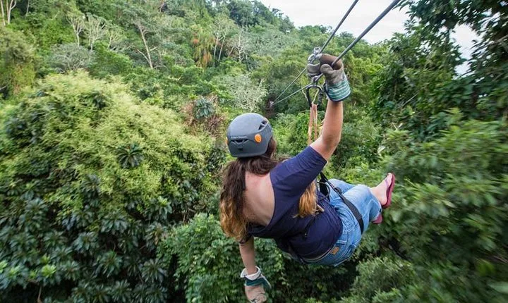 Jungle top Zipline Suspension Bridges, Monkeys and Sloth Hangout