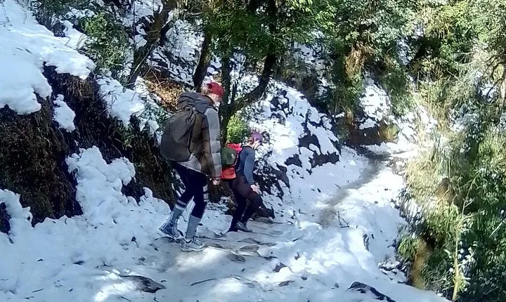 Annapurna: 5 Days Poon Hill Circuit Trek from Pokhara