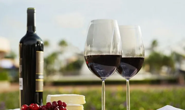 Wine Tasting Tour