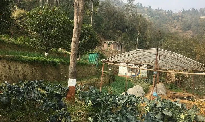 Permaculture Organic Farm Tour in Patlekhet from Kathmandu Nepal
