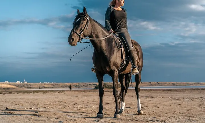 Experiene Camel or Horse Riding Journey - Sharm El Sheikh