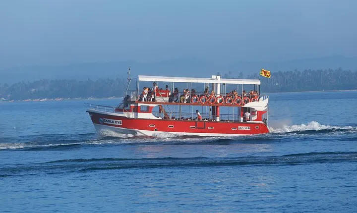 Whale Watching Mirissa with Eagle Eye