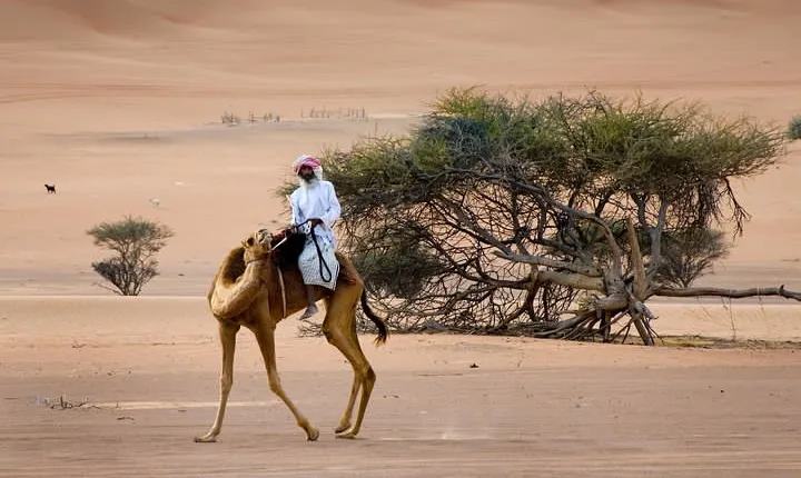 Wahiba Sands Desert with Wadi Bani Khalid Tour by 4X4