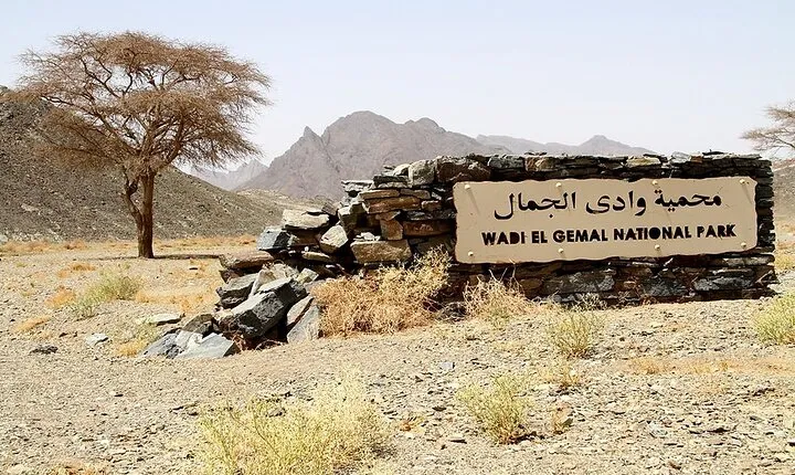 Safari Day Tour To Wadi El Gamal National Park From Marsa Alam