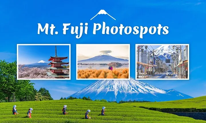 Mt. Fuji Highlight Photo Spots One Day Tour from Tokyo