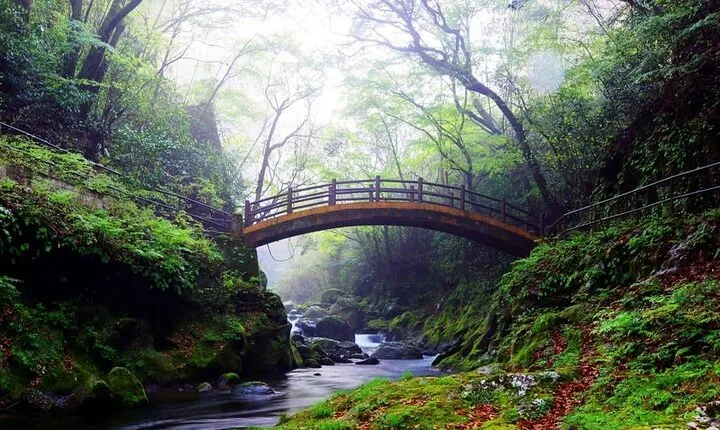 Day Tour to Miyazaki Takachiho Gorge & Shrine depart from Fukuoka