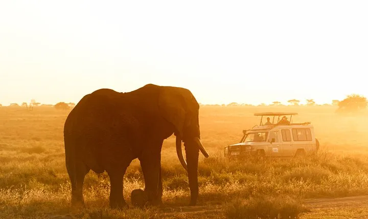 5-Day Classic Serengeti & Ngorongoro Crater Safari