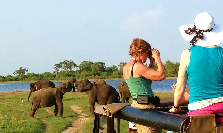 VALUE PACK! One Day Safari Tour to Yala and Udawalawa Parks