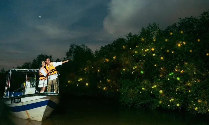 Kuala Selangor Fireflies Tour with Grand Royal Palace and Dinner