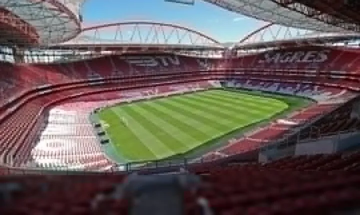 Benfica Stadium and Museum Private Tour