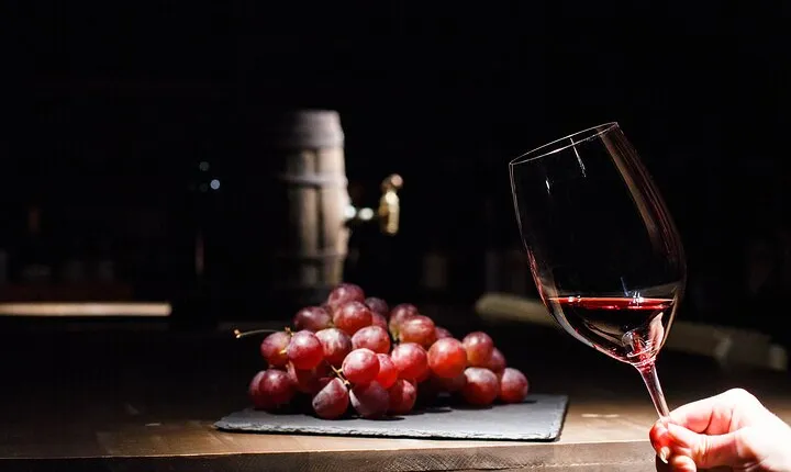 Half-Day Gramma Wine Tasting Tour in Iasi