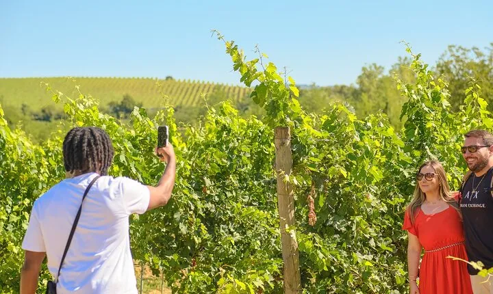 Florence: Private Full-Day Chianti Tour and Winery Lunch Optional