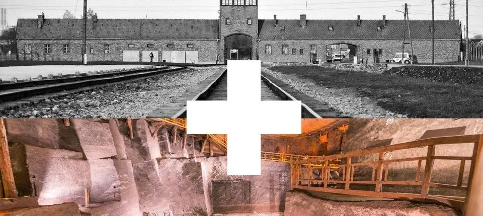 Auschwitz-Birkenau and Wieliczka Salt Mine Guided Tour with Pickup