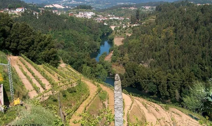 Private Tour to Melgaço and Monção, the heart of the Alvarinho region