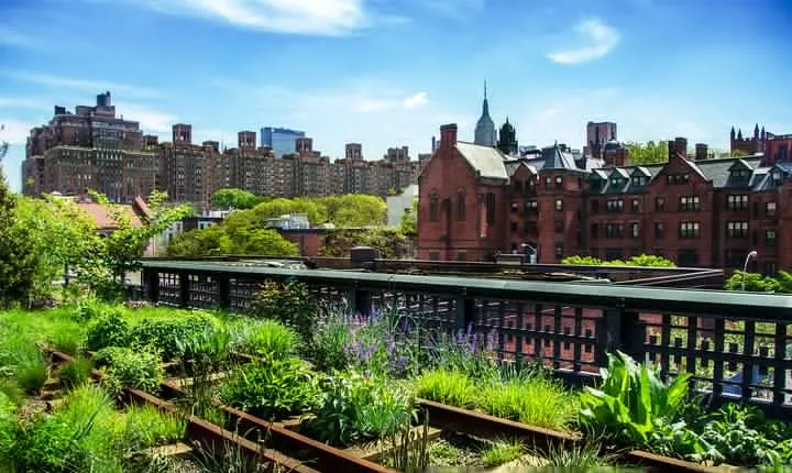 Semi-Private Meatpacking District, Chelsea Market, and High Line Walking Tour