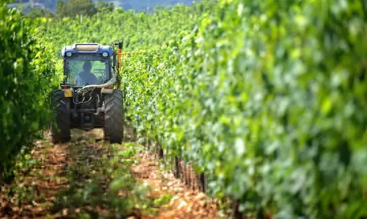 Chianti Vineyards Tours in Private Luxury Van from Florence