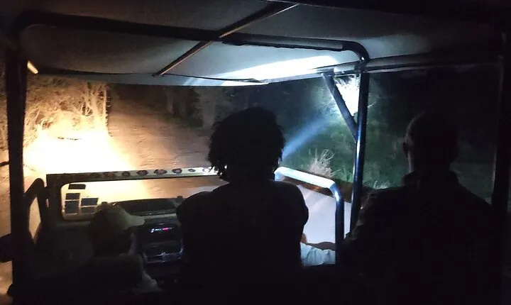 Private 4x4 Stargazing and Flashlight Experience in the Bush