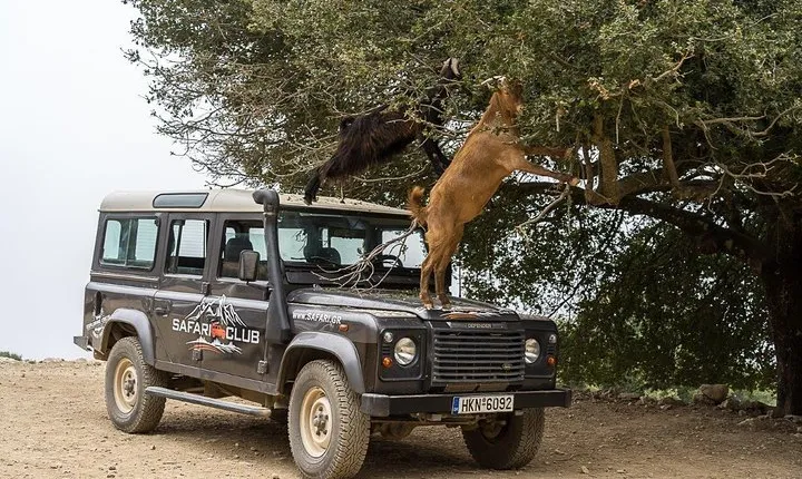 Land Rover Safari Minoan Route with driver and lunch
