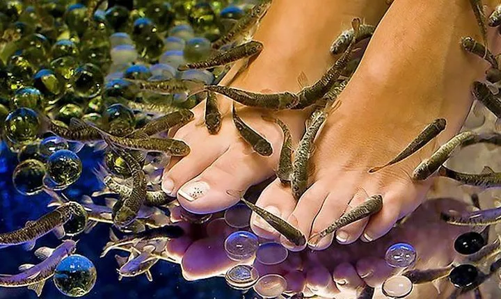 20-Minutes Natural Pedicure with Exotic Fish