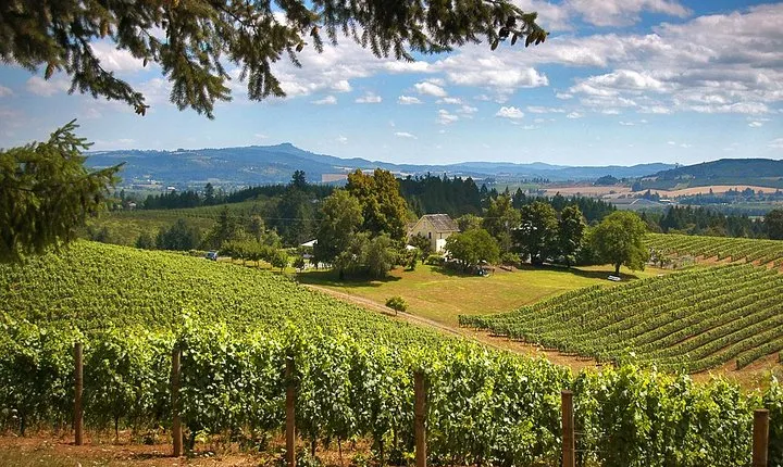 Willamette Valley Wine Tasting Tour from Portland