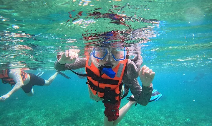 Snorkel at the Reef
