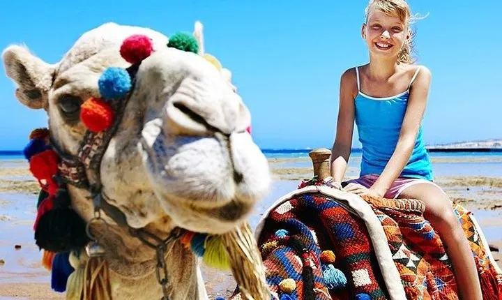 Camel Trekking in Abu Dhabi