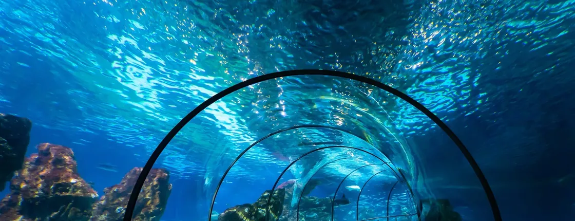 Barcelona Aquarium skip-the-line tickets