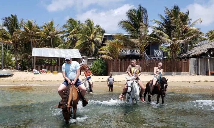 Roatan Horseback Riding, Zip Line Monkey/Sloths and Snorkel