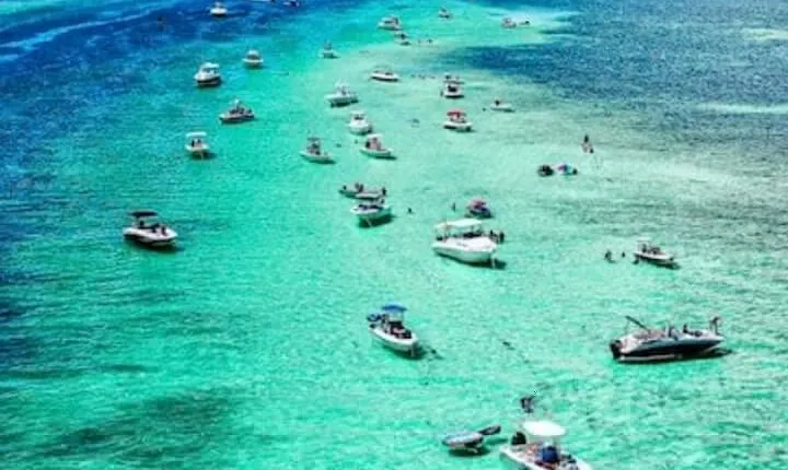 Islamorada Sandbar and Sunset Tour