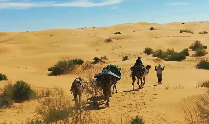 7-Day Northern South Tour from Tunis