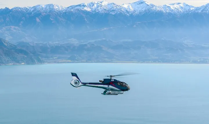 Kaikoura Helicopters Top n Tail Whale Watch flight