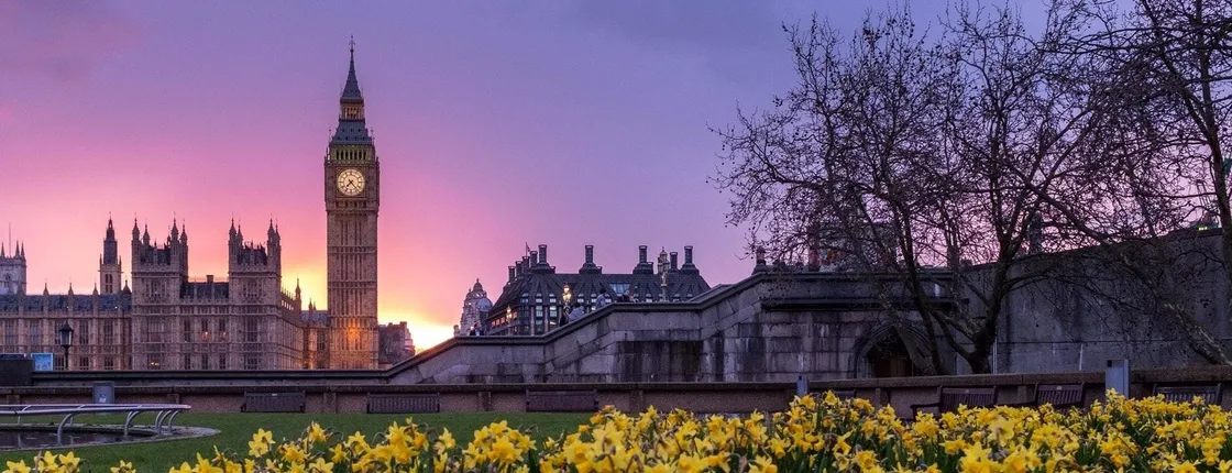 Full-day best of London private group car guided tour