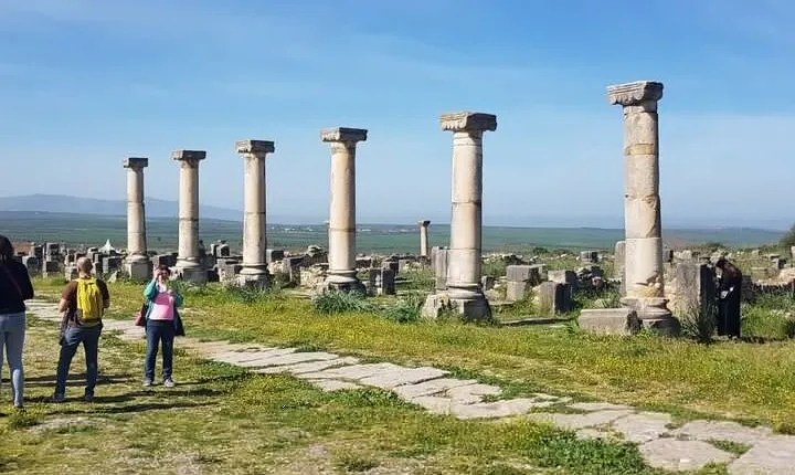 Day Tour to Volubilis & Meknes from Fes
