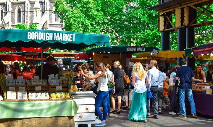 London 30+ Sights in One Day with Blue Badge Expert Guided Tour