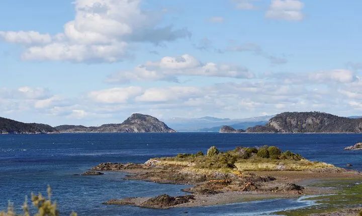 Experience in the Classic National Park in Ushuaia