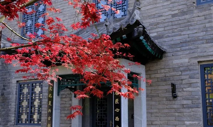 Xi'an 2-Day Private Tour from Chengdu with First Class Bullet Train Experience