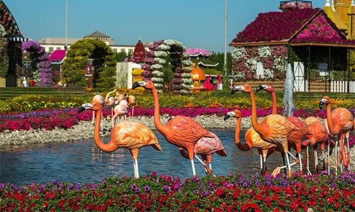 Skip the Line Dubai Miracle Garden Tickets