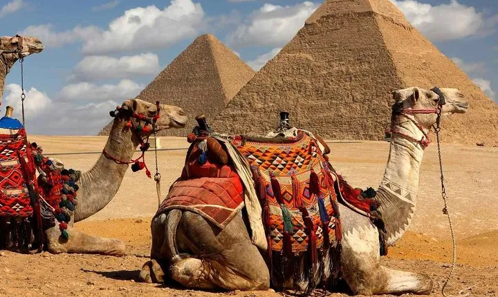 8 Days Egypt Tour to Cairo and Alexandria with Nile Cruise from Aswan to Luxor
