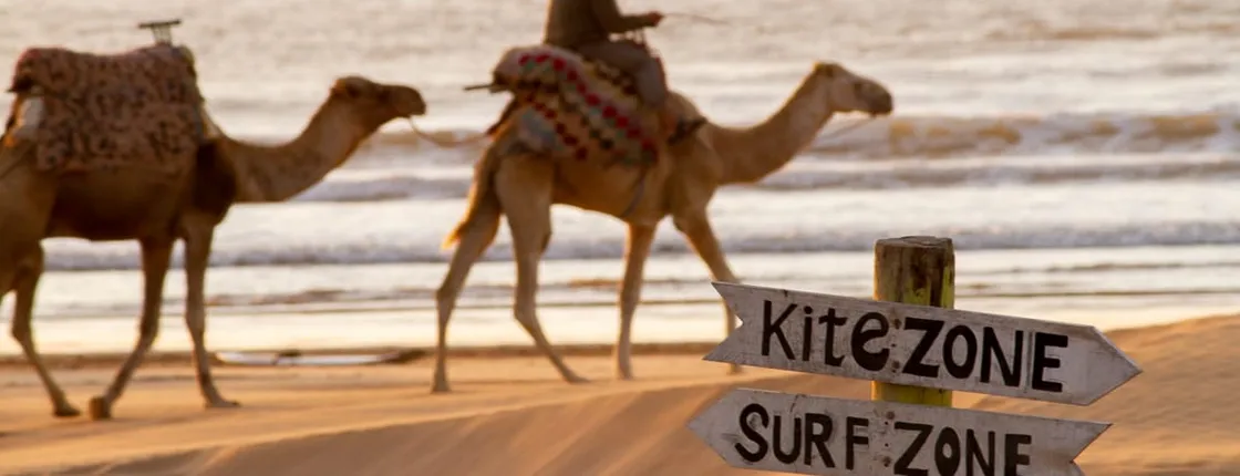 Surf Trip from Marrakech to Essaouira Waves | 1 Day : Private & Luxury