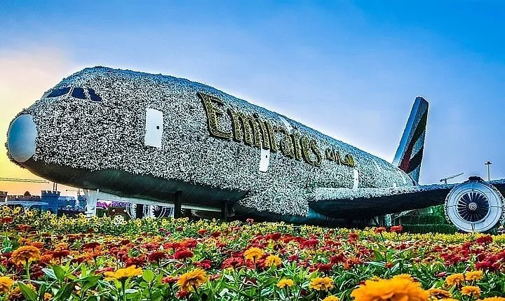 Dubai Miracle garden with optional transport