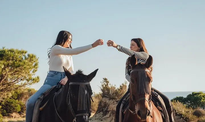 Camel or Horse Riding in Egypt's Desert – Sharm El Sheikh