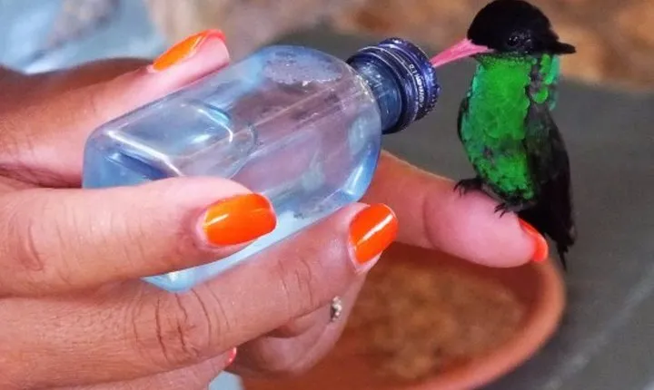 Rocklands Bird Sanctuary & City Highlights plus Shopping from Grand Palladium