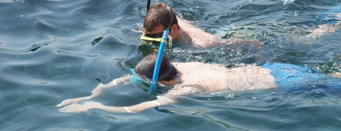 Snorkeling tour in Salalah