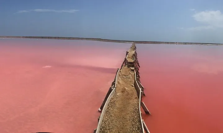 Pink Sea of Galerazamba