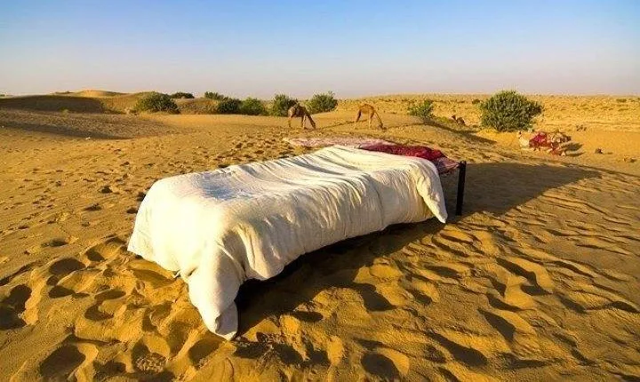 Overnight Stay In Desert With Camel Safari